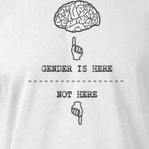 Gender is here (hand pointing at a brain) --- not here (hand pointing downward)