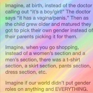 Imagine, at birth, instead of the doctor calling out "it's a boy/girl" the doctor says "it has a vagina/penis." Then as the child grew older and matured they got to pick their own gender instead of their parents picking it for them. Imagine, when you go shopping, instead of a women's section and an men's section, there was a t-shirt section, a skirt section, pants section, dress section, etc. Imagine if our world didn't put gender roles on anything and EVERYTHING.